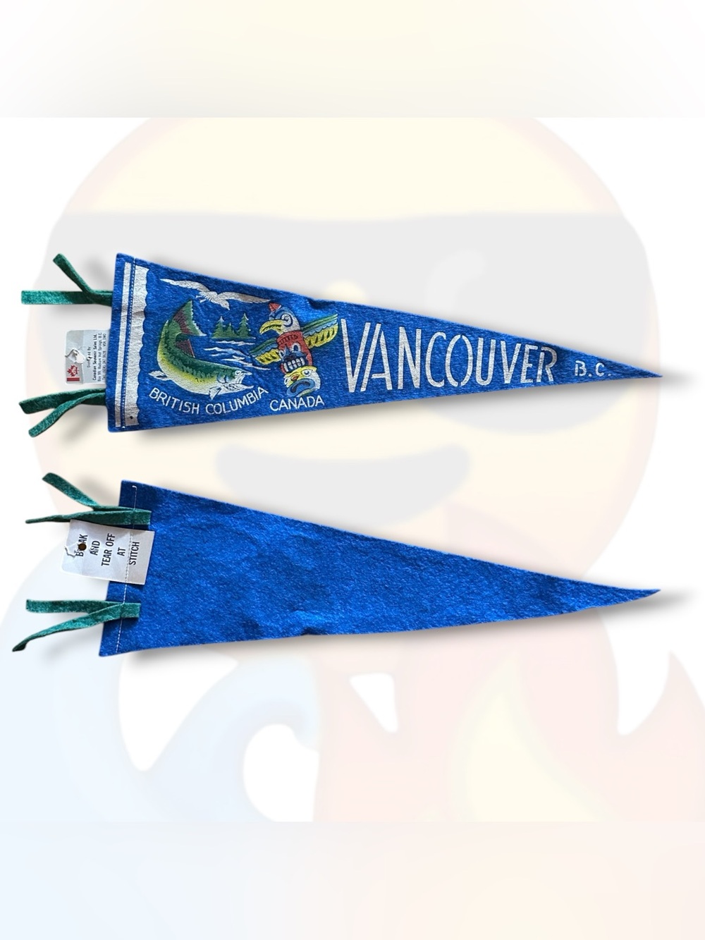 Vintage Vancouver B.C. Canada Canadian Souvenir Sales Ltd. Velvet Pennant